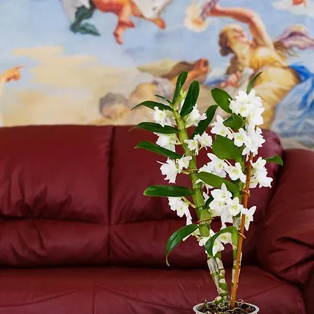 Bed & Breakfast Olimpo